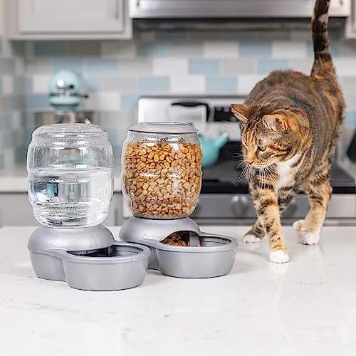 Petmate Replendish Gravity Waterer 0.5 Gallon (1.89 L) Blue | Continuous Filtered Water Supply for Dogs & Cats thumbnail 2
