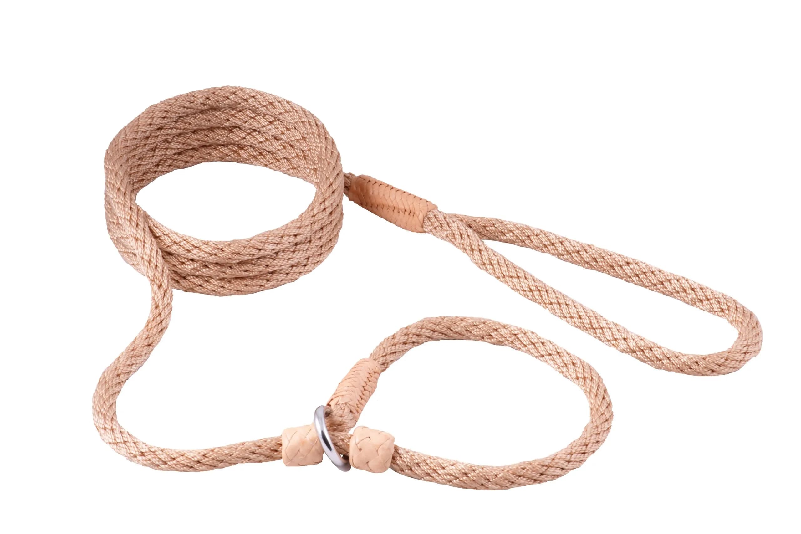 Alvalley Nylon Dog Training Leash with 2 Stoppers 1.83 m (6 ft) | Soft Handle, Braided Leather Ends — Beige