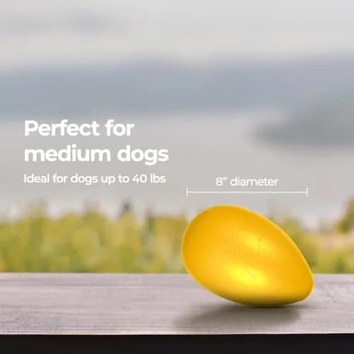 Jolly Pets Jolly Egg Herding Dog Toy, 8-inch (20.3 cm) Yellow | Unpredictable Chase & Float Fun thumbnail 6