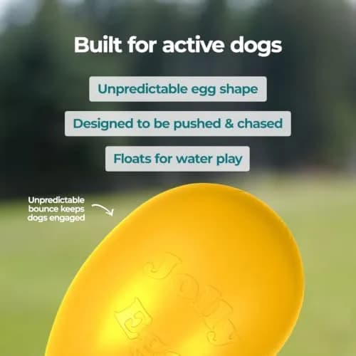 Jolly Pets Jolly Egg Herding Dog Toy, 8-inch (20.3 cm) Yellow | Unpredictable Chase & Float Fun thumbnail 7