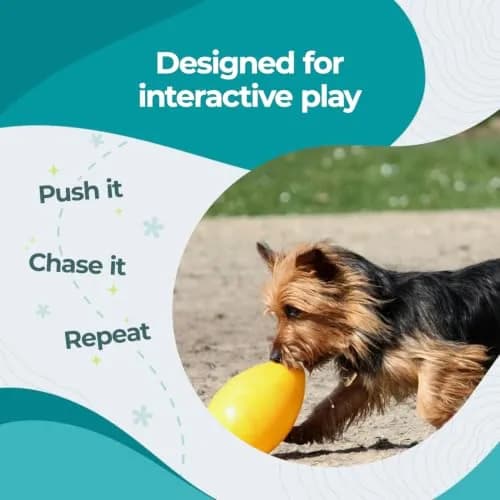 Jolly Pets Jolly Egg Herding Dog Toy, 8-inch (20.3 cm) Yellow | Unpredictable Chase & Float Fun thumbnail 3