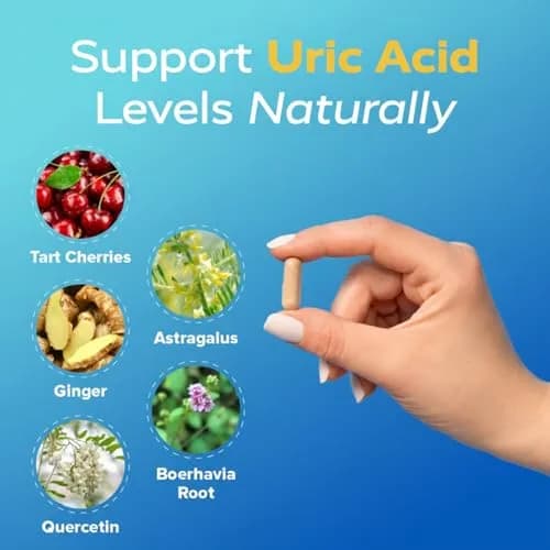 Redd Remedies Gouch! | Supports Healthy Uric Acid Levels | 60 Capsules (Cherry) | Kidney & Joint Support thumbnail 3