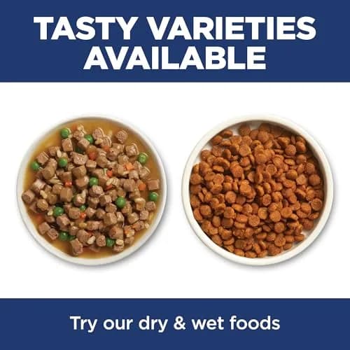 Hill's Science Diet Senior 11+ Dry Cat Food Chicken Flavor 7.07 kg (15.5 lb) | Supports Senior Cat Health and Vitality thumbnail 7