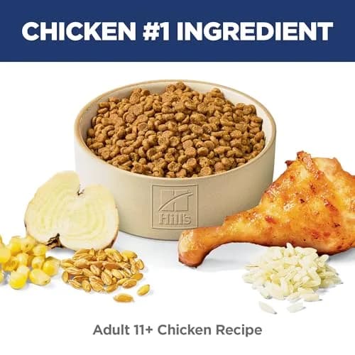 Hill's Science Diet Senior 11+ Dry Cat Food Chicken Flavor 7.07 kg (15.5 lb) | Supports Senior Cat Health and Vitality thumbnail 2