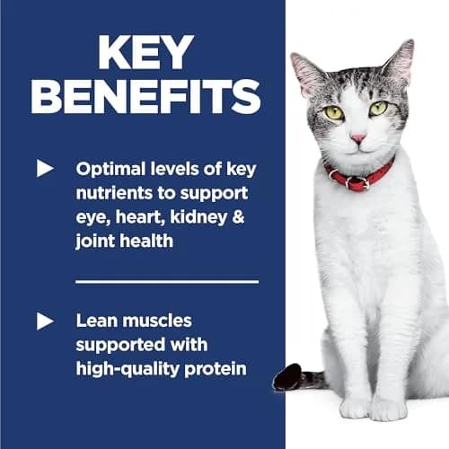 Hill's Science Diet Senior 11+ Dry Cat Food Chicken Flavor 7.07 kg (15.5 lb) | Supports Senior Cat Health and Vitality thumbnail 3