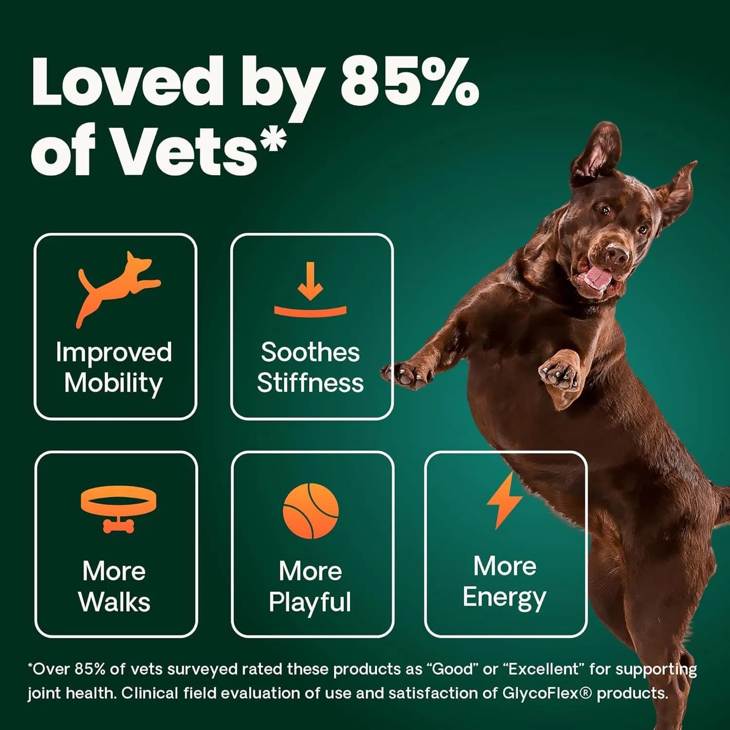 VetriScience Extra Strength Healthy Hip & Joint Chews for Small Dogs | 60 Count - view 7