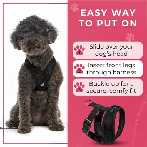 Gooby Comfort X Head-in Dog Harness, Choke-Free, Black, Small (11.75-15.5" Chest) thumbnail 7