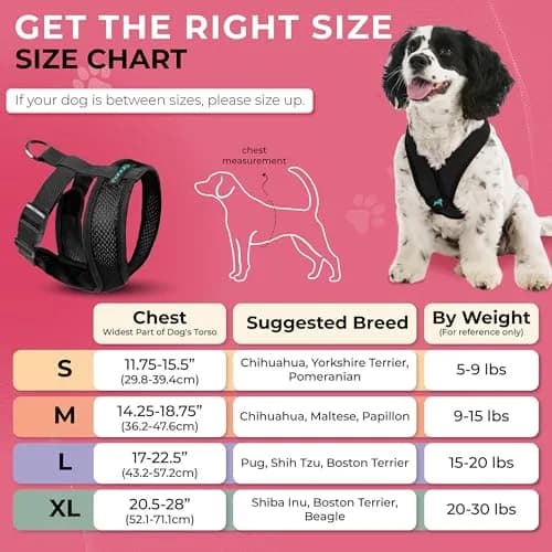 Gooby Comfort X Head-in Dog Harness, Choke-Free, Black, Large (17-22.5" Chest) | Patented X-Frame No-Pull Design thumbnail 4
