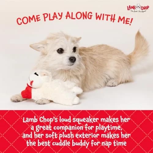 Multipet Lamb Chop Dog Plush Toy 15.24 cm (6") | Squeaky Soft Animal for All Dogs thumbnail 5