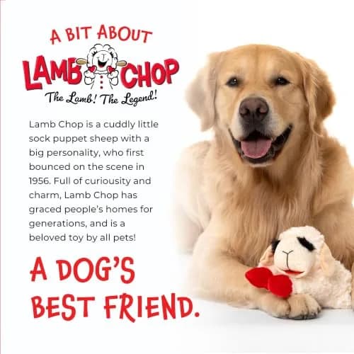 Multipet Lamb Chop Dog Plush Toy 15.24 cm (6") | Squeaky Soft Animal for All Dogs thumbnail 8