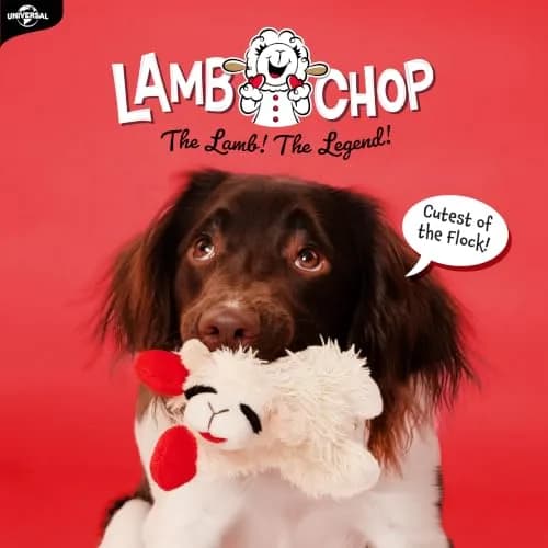 Multipet Lamb Chop Dog Plush Toy 15.24 cm (6") | Squeaky Soft Animal for All Dogs thumbnail 3