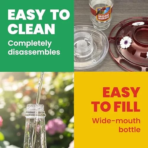 More Birds Ruby Hummingbird Feeder 295ml (10 Ounce) | Attracts More Birds with 4 Feeding Stations thumbnail 4