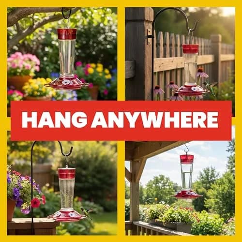 More Birds Ruby Hummingbird Feeder 295ml (10 Ounce) | Attracts More Birds with 4 Feeding Stations thumbnail 5
