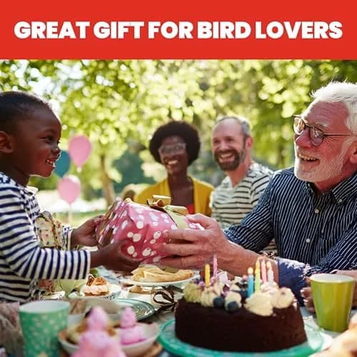 More Birds Ruby Hummingbird Feeder 295ml (10 Ounce) | Attracts More Birds with 4 Feeding Stations thumbnail 8