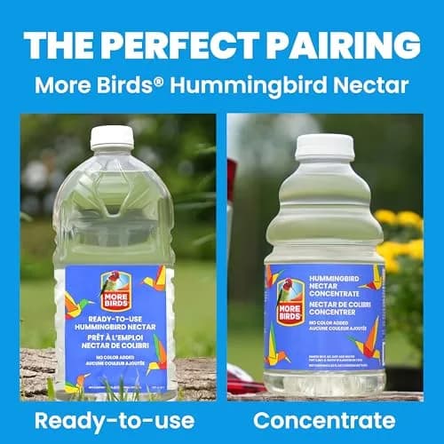 More Birds Ruby Hummingbird Feeder 295ml (10 Ounce) | Attracts More Birds with 4 Feeding Stations thumbnail 9