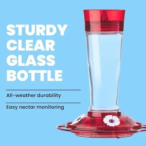 More Birds Ruby Hummingbird Feeder 295ml (10 Ounce) | Attracts More Birds with 4 Feeding Stations thumbnail 2