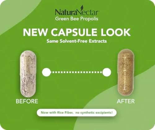 NaturaNectar Green Bee Propolis Capsules 60pcs | NSF Certified Brazilian Green Propolis for Immunity & Brain thumbnail 2