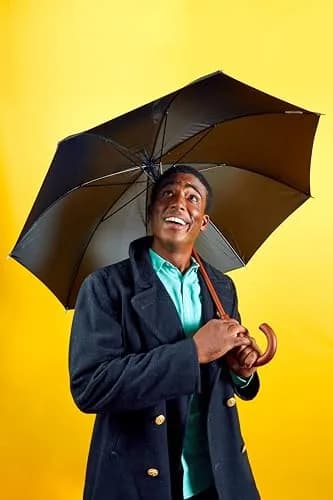 Totes Auto Open Water Repellent Stick Umbrella with Classic Wood J Hook Handle | 48" Canopy, Water-Resistant, Auto Open thumbnail 3