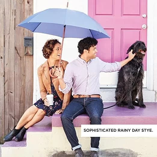 Totes Auto Open Water Repellent Stick Umbrella with Classic Wood J Hook Handle | 122 cm (48 inch) Canopy thumbnail 9