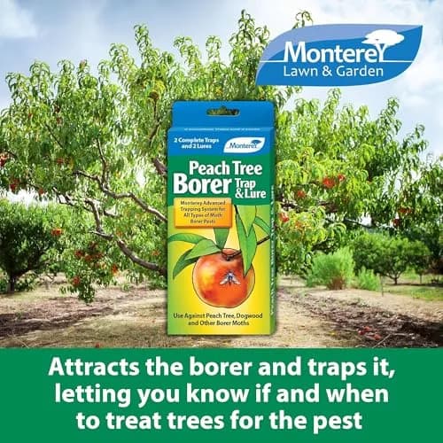 Monterey Peach Tree Borer Trap & Lure - 2 Pack | Effective Pest Control Device for Monitoring & Mass Trapping thumbnail 2