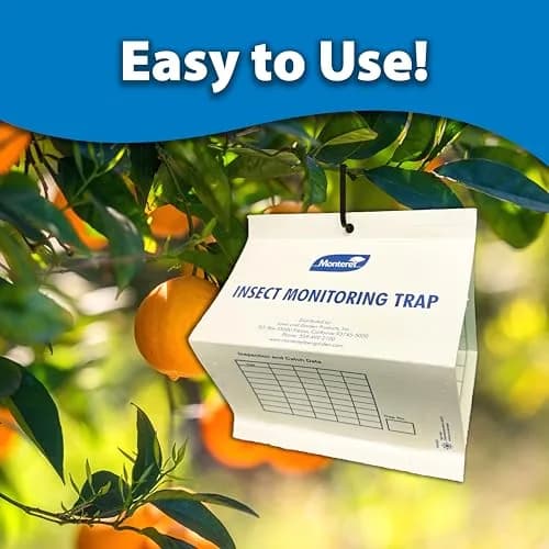 Monterey LG8920 Citrus Leafminer Trap and Lure | Organic Monitoring System for Citrus Trees thumbnail 2