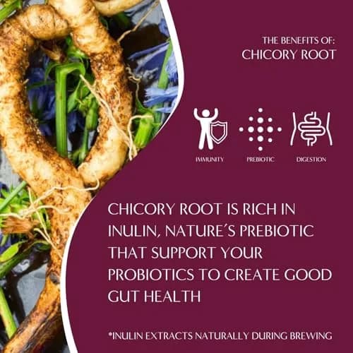 Teeccino Mocha Chicory Coffee Alternative - 11 Ounce - Ground Herbal Coffee That’s Prebiotic, Caffeine-Free & Acid Free, Medium Roast thumbnail 6