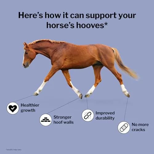 Formula 707 Hoof Health Equine Supplement, 10 lb Bag | Supports Healthy Hooves & Skin thumbnail 3