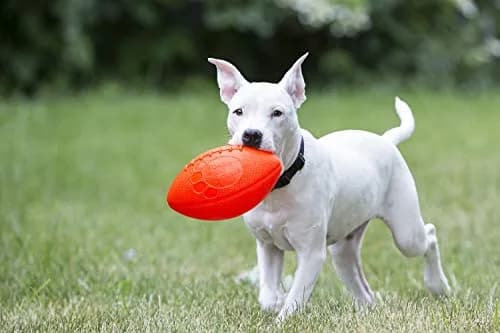 Jolly Pets Jolly Football Dog Toy, 8 in, Orange, Floats | Durable Rubber Fetch Ball for Water Play thumbnail 2
