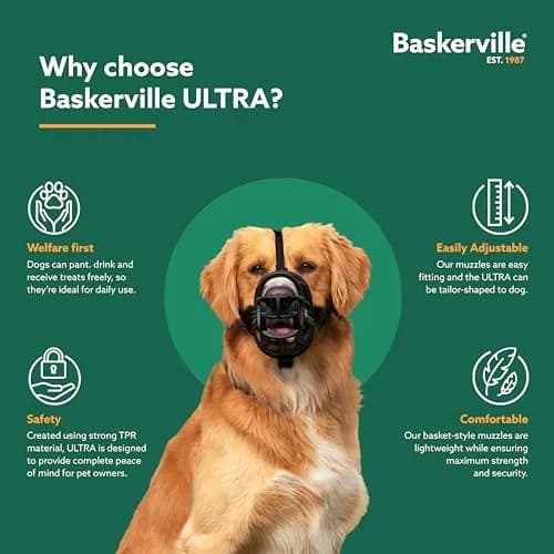Baskerville ULTRA Dog Muzzle Size 3 | Humane Fit for Reactive Dogs, Adjustable & Padded (70-120 chars) thumbnail 2