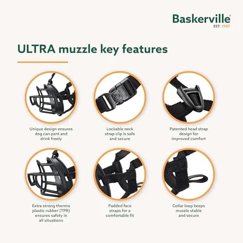 Baskerville ULTRA Dog Muzzle Size 3 | Humane Fit for Reactive Dogs, Adjustable & Padded (70-120 chars) thumbnail 3