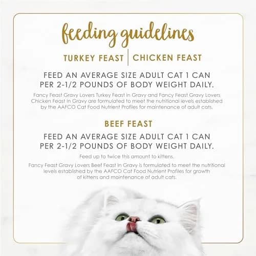 Fancy Feast Gravy Lovers Poultry & Beef Wet Cat Food 3oz | Gourmet Flavor Assortment, Complete & Balanced (70-120 chars) thumbnail 6