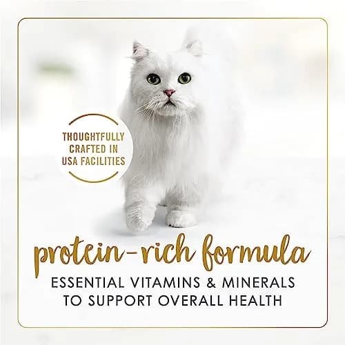 Fancy Feast Gravy Lovers Poultry & Beef Wet Cat Food 3oz | Gourmet Flavor Assortment, Complete & Balanced (70-120 chars) thumbnail 3