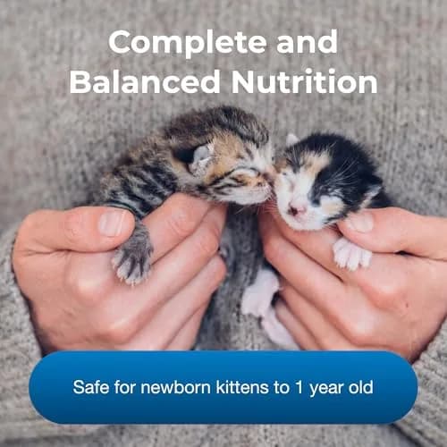 PetAg PetLac Kitten Milk Replacement Powder 10.5 oz (298g) | Complete Nutrition for Newborn to Six Weeks Old thumbnail 3