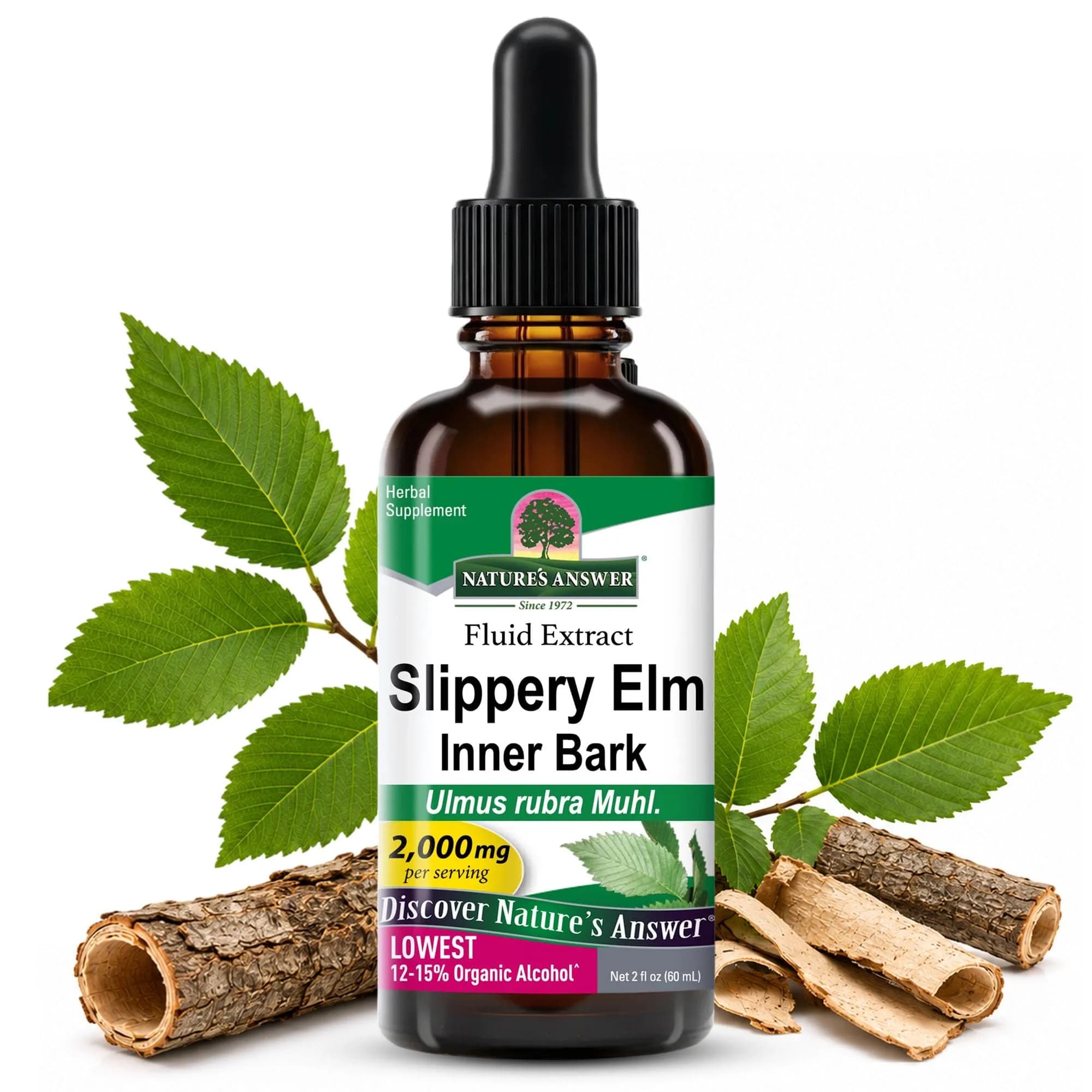 Nature's Answer Slippery Elm Extract 2000 mg | Supports Digestion & Skin, 2 fl oz (60 ml) — No Color
