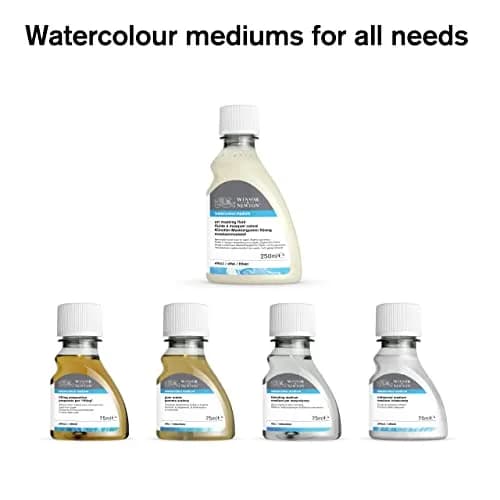 Winsor & Newton Art Masking Fluid, Colourless 75ml (2.53 Fl Oz) | Protects Areas During Watercolor Washes thumbnail 7