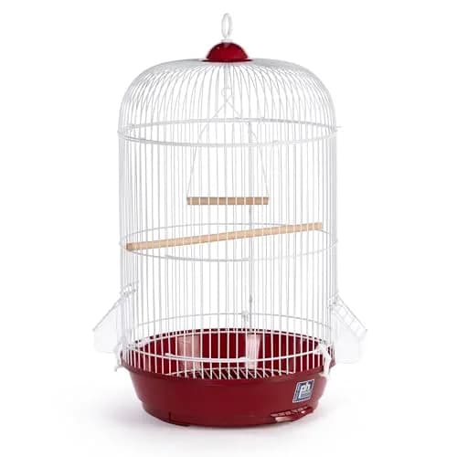 Prevue Pet Products Classic Round Bird Cage, Red | 12" (30.48 cm) Diameter x 26" (66.04 cm) Height thumbnail 1