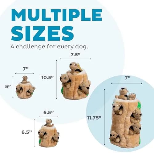Outward Hound Hide-A-Squirrel Plush Squeaky Dog Toy XL (310g / 0.68lb) | Interactive Puzzle & Fetch Toy for Dogs thumbnail 5