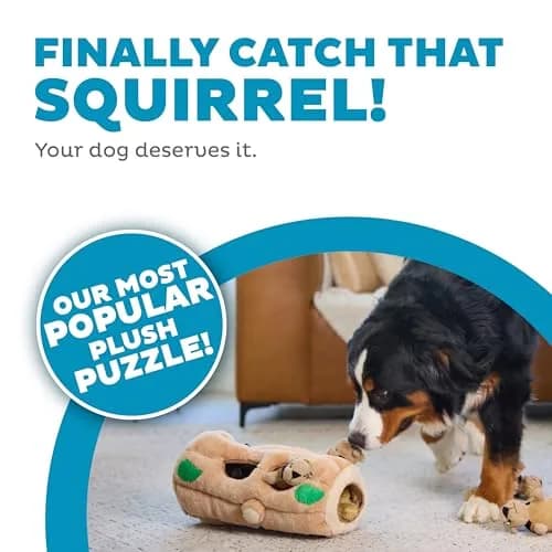 Outward Hound Hide-A-Squirrel Plush Squeaky Dog Toy XL (310g / 0.68lb) | Interactive Puzzle & Fetch Toy for Dogs thumbnail 2