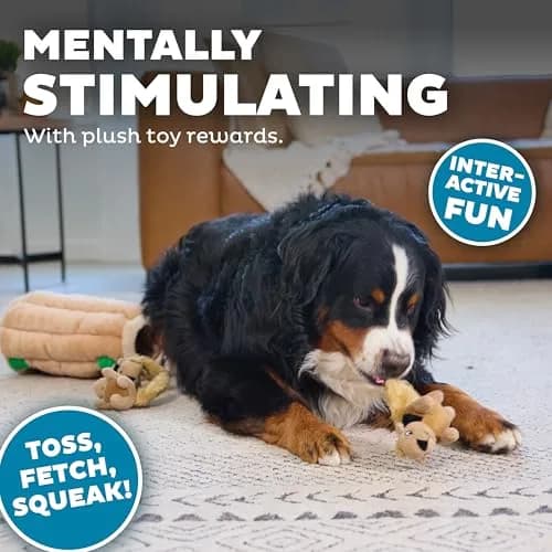Outward Hound Hide-A-Squirrel Plush Squeaky Dog Toy XL (310g / 0.68lb) | Interactive Puzzle & Fetch Toy for Dogs thumbnail 4