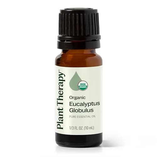 Plant Therapy Organic Eucalyptus Globulus Essential Oil 10 mL | Supports Clear Breathing & Blood Circulation thumbnail 1