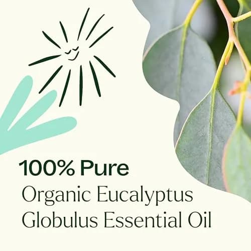 Plant Therapy Organic Eucalyptus Globulus Essential Oil 10 mL | Supports Clear Breathing & Blood Circulation thumbnail 5