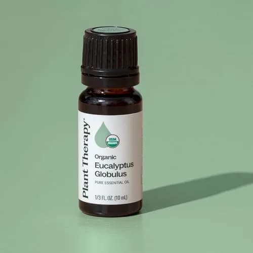 Plant Therapy Organic Eucalyptus Globulus Essential Oil 10 mL | Supports Clear Breathing & Blood Circulation thumbnail 6