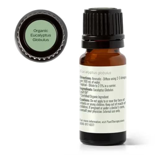 Plant Therapy Organic Eucalyptus Globulus Essential Oil 10 mL | Supports Clear Breathing & Blood Circulation thumbnail 8