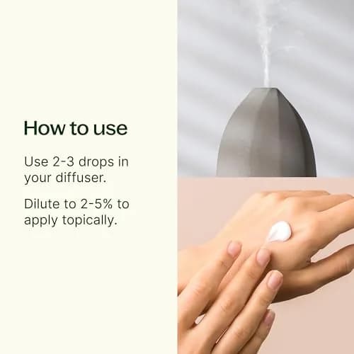 Plant Therapy Organic Eucalyptus Globulus Essential Oil 10 mL | Supports Clear Breathing & Blood Circulation thumbnail 2