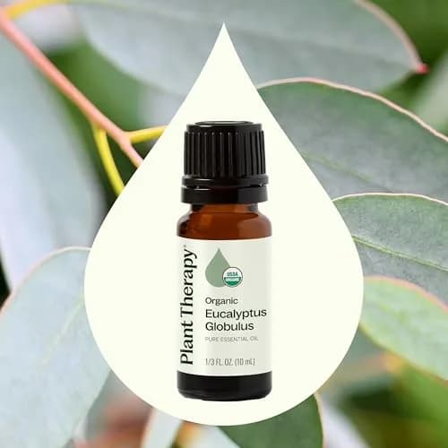 Plant Therapy Organic Eucalyptus Globulus Essential Oil 10 mL | Supports Clear Breathing & Blood Circulation thumbnail 3