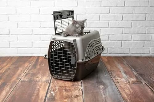 Petmate Dog Crate for Small Dogs & Cats 24in | Airline Approved, Easy to Clean, Durable Plastic thumbnail 4
