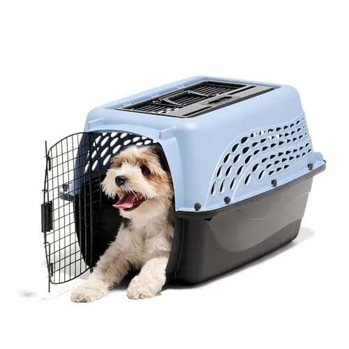 Petmate Two Door Plastic Pet Kennel for Small Dogs and Cats, 24in, Blue | Airline Approved Travel Carrier thumbnail 2