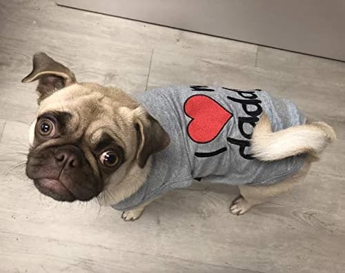 Parisian Pet Dog Shirt - 100% Cotton Sleeveless Small Dog Clothes - Light & Breathable Puppy Apparel - I Love My Daddy T Shirt thumbnail 3