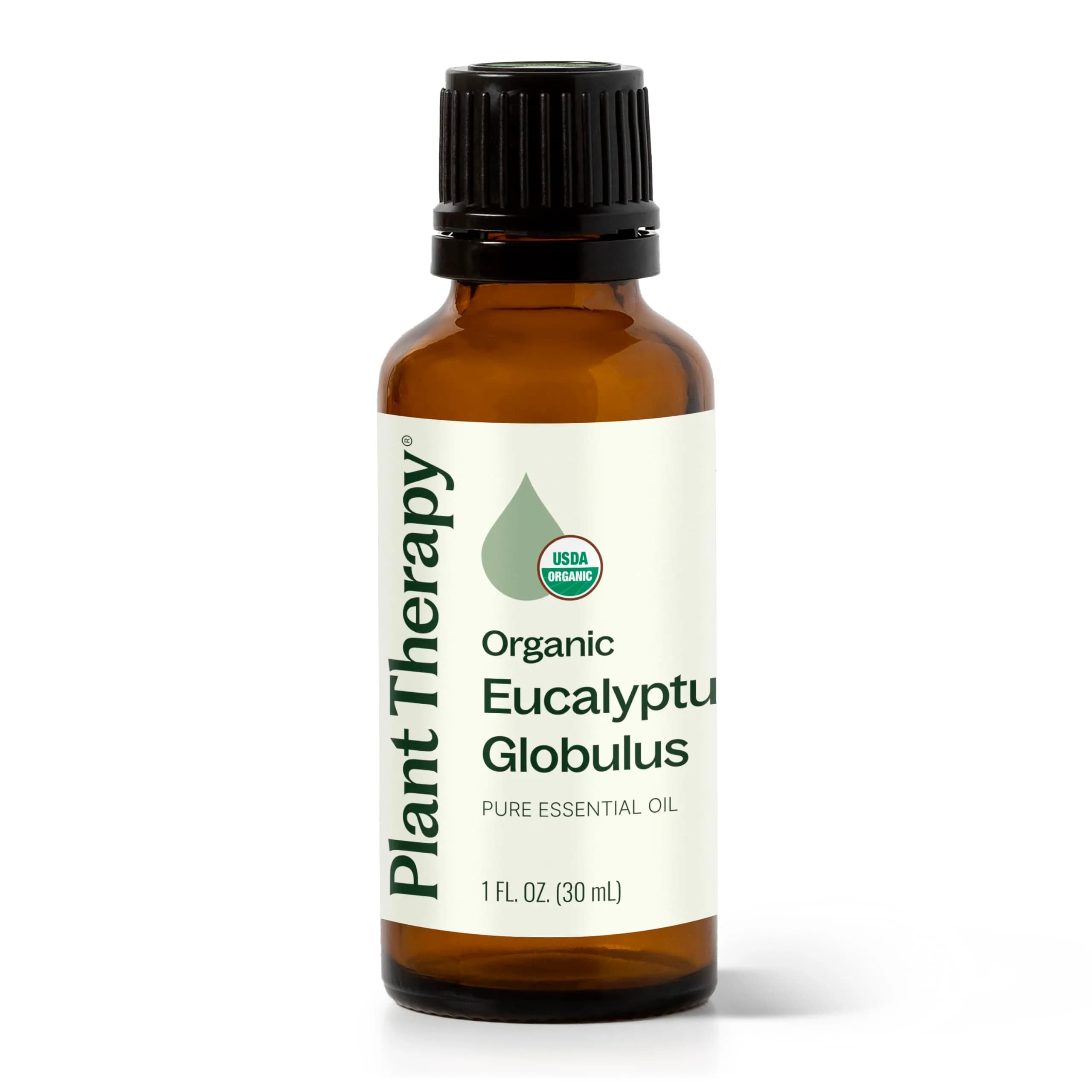 Plant Therapy Organic Eucalyptus Globulus Essential Oil 30 mL | Respiratory & Focus Support