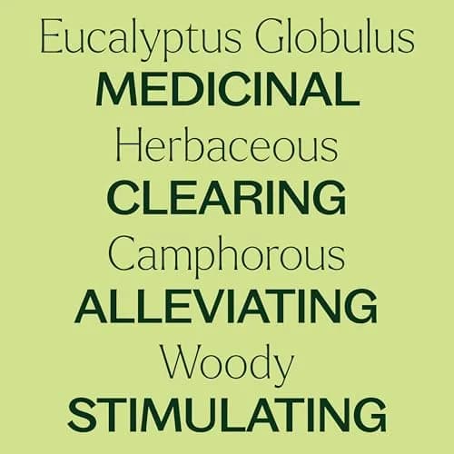 Plant Therapy Organic Eucalyptus Globulus Essential Oil 30 mL | Respiratory & Focus Support thumbnail 4